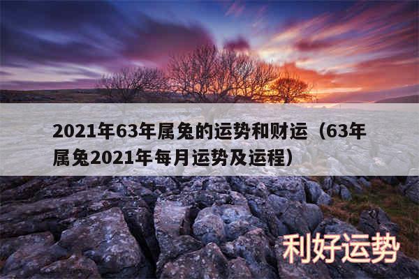 2024年63年属兔的运势和财运以及63年属兔2024年每月运势及运程