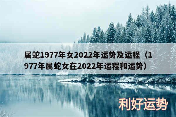 属蛇1977年女2024年运势及运程以及1977年属蛇女在2024年运程和运势