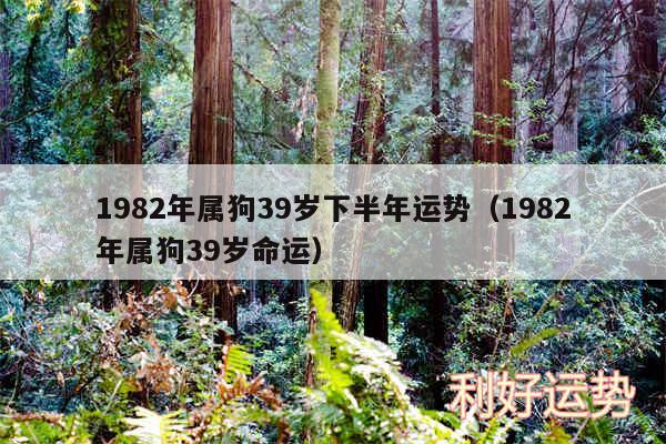 1982年属狗39岁下半年运势以及1982年属狗39岁命运