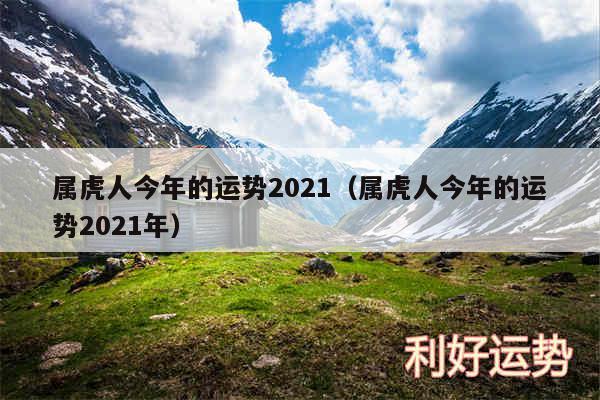 属虎人今年的运势2024以及属虎人今年的运势2024年