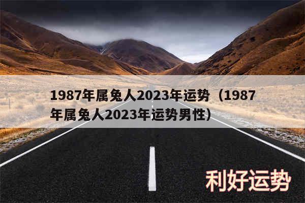 1987年属兔人2024年运势以及1987年属兔人2024年运势男性