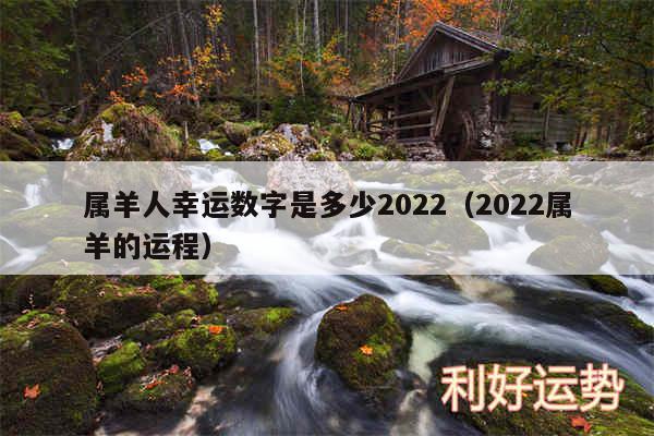 属羊人幸运数字是多少2024以及2024属羊的运程