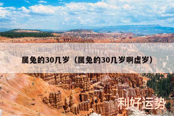 属兔的30几岁以及属兔的30几岁啊虚岁