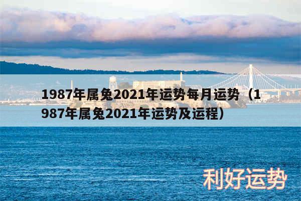 1987年属兔2024年运势每月运势以及1987年属兔2024年运势及运程