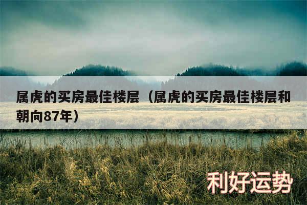 属虎的买房最佳楼层以及属虎的买房最佳楼层和朝向87年