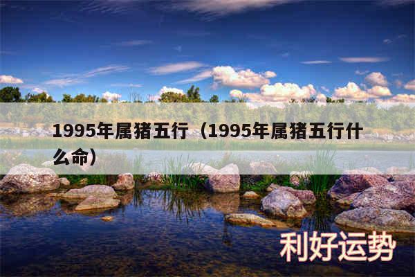 1995年属猪五行以及1995年属猪五行什么命