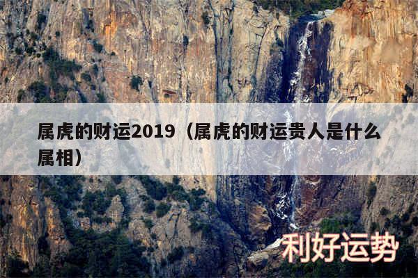 属虎的财运2019以及属虎的财运贵人是什么属相