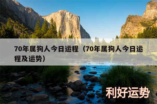 70年属狗人今日运程以及70年属狗人今日运程及运势