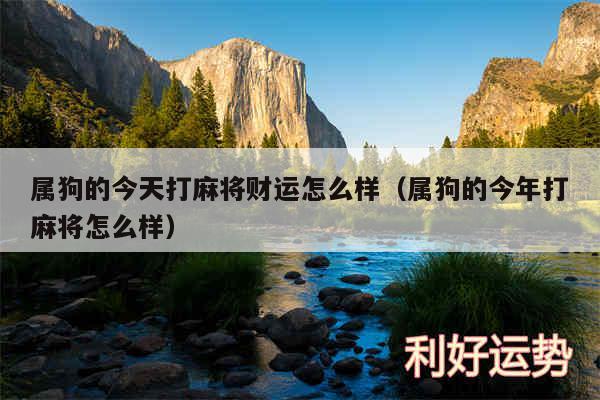 属狗的今天打麻将财运怎么样以及属狗的今年打麻将怎么样