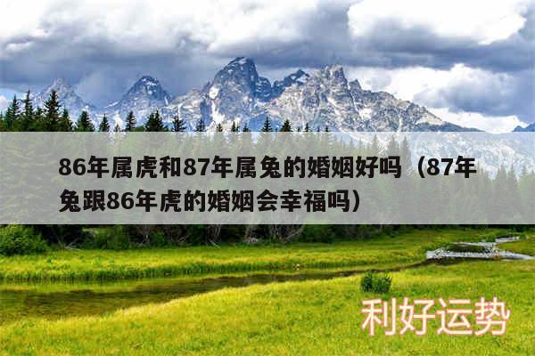 86年属虎和87年属兔的婚姻好吗以及87年兔跟86年虎的婚姻会幸福吗