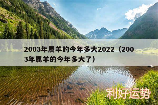 2003年属羊的今年多大2024以及2003年属羊的今年多大了