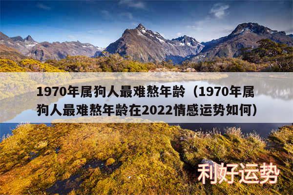 1970年属狗人最难熬年龄以及1970年属狗人最难熬年龄在2024情感运势如何