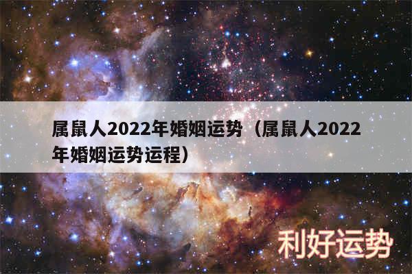 属鼠人2024年婚姻运势以及属鼠人2024年婚姻运势运程