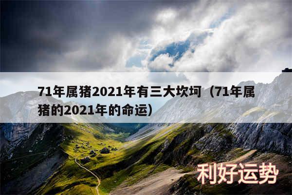 71年属猪2024年有三大坎坷以及71年属猪的2024年的命运