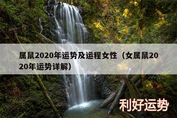 属鼠2020年运势及运程女性以及女属鼠2020年运势详解