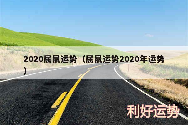 2020属鼠运势以及属鼠运势2020年运势