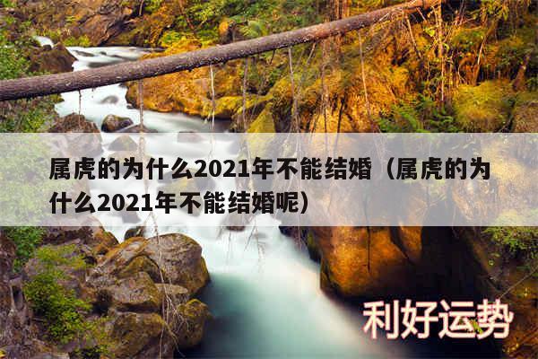 属虎的为什么2024年不能结婚以及属虎的为什么2024年不能结婚呢