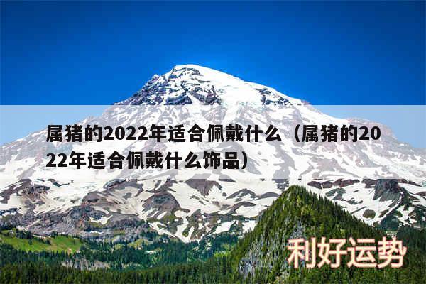 属猪的2024年适合佩戴什么以及属猪的2024年适合佩戴什么饰品