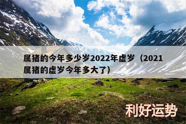 属猪的今年多少岁2024年虚岁以及2024属猪的虚岁今年多大了