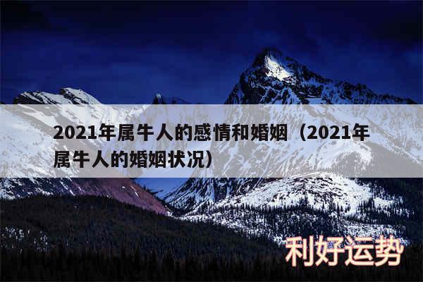 2024年属牛人的感情和婚姻以及2024年属牛人的婚姻状况