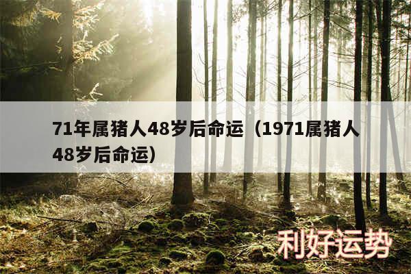 71年属猪人48岁后命运以及1971属猪人48岁后命运