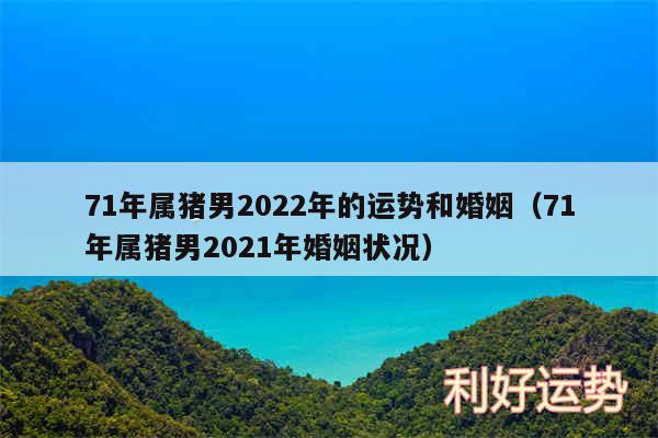 71年属猪男2024年的运势和婚姻以及71年属猪男2024年婚姻状况