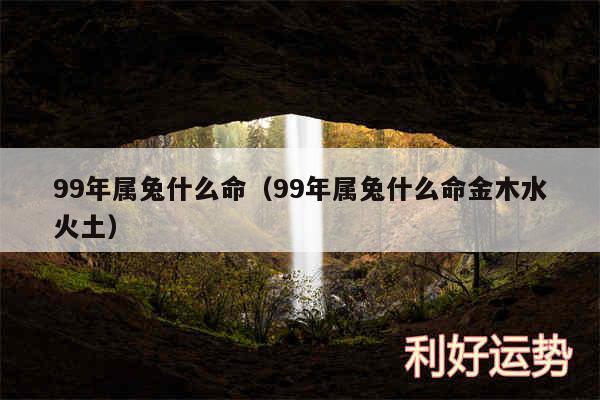 99年属兔什么命以及99年属兔什么命金木水火土