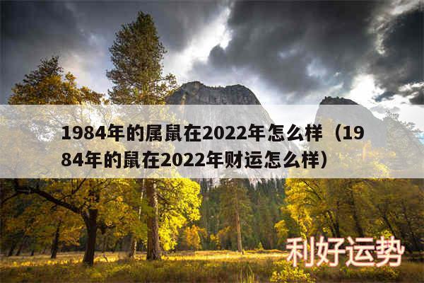 1984年的属鼠在2024年怎么样以及1984年的鼠在2024年财运怎么样