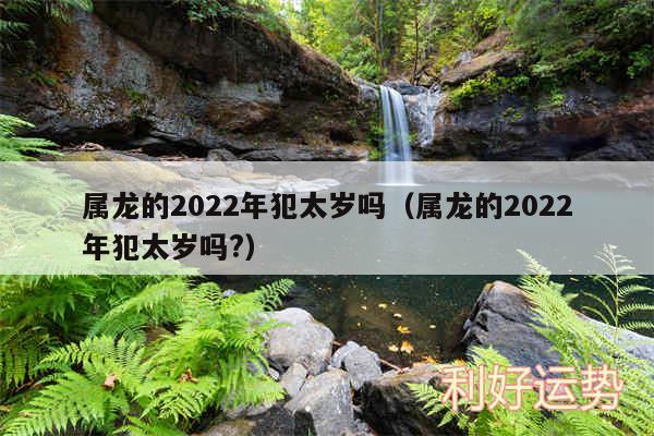 属龙的2024年犯太岁吗以及属龙的2024年犯太岁吗?