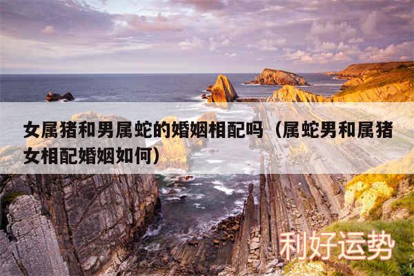 女属猪和男属蛇的婚姻相配吗以及属蛇男和属猪女相配婚姻如何