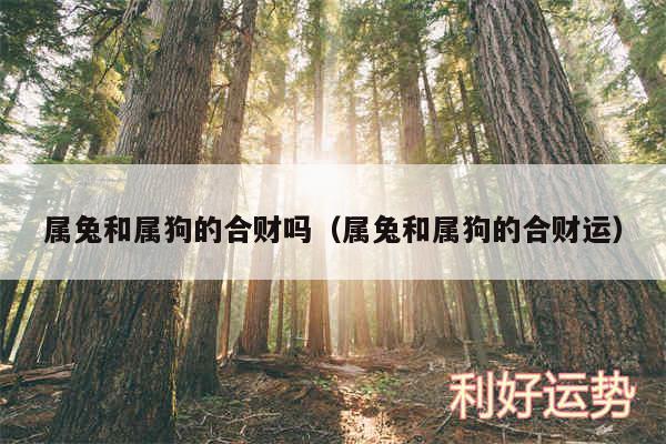 属兔和属狗的合财吗以及属兔和属狗的合财运