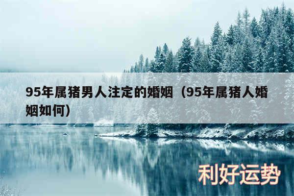 95年属猪男人注定的婚姻以及95年属猪人婚姻如何