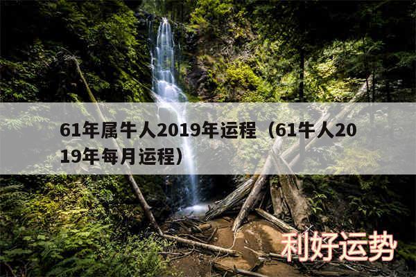 61年属牛人2019年运程以及61牛人2019年每月运程