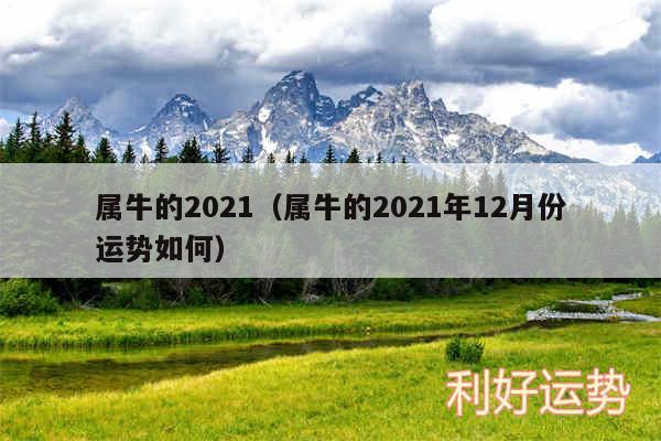 属牛的2024以及属牛的2024年12月份运势如何