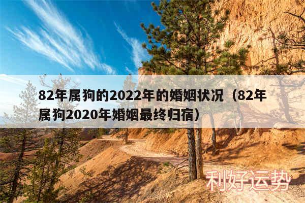 82年属狗的2024年的婚姻状况以及82年属狗2020年婚姻最终归宿