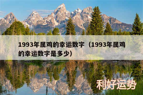 1993年属鸡的幸运数字以及1993年属鸡的幸运数字是多少