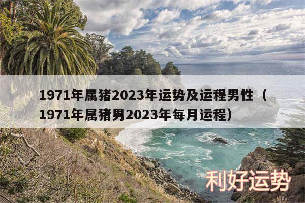 1971年属猪2024年运势及运程男性以及1971年属猪男2024年每月运程