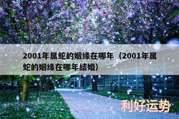 2001年属蛇的姻缘在哪年以及2001年属蛇的姻缘在哪年结婚