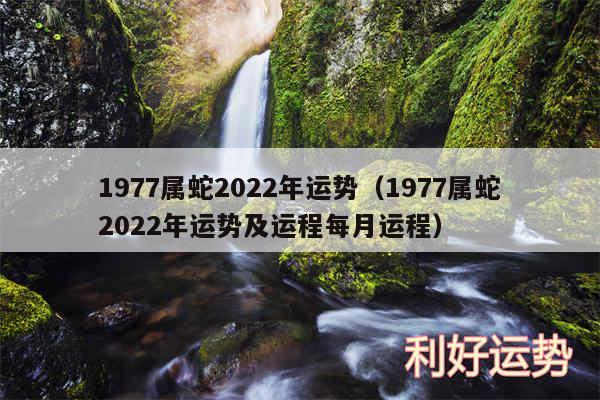 1977属蛇2024年运势以及1977属蛇2024年运势及运程每月运程