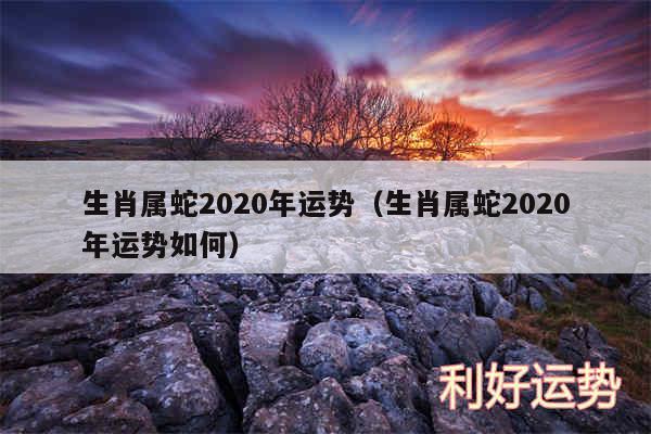 生肖属蛇2020年运势以及生肖属蛇2020年运势如何