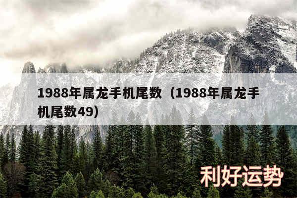 1988年属龙手机尾数以及1988年属龙手机尾数49