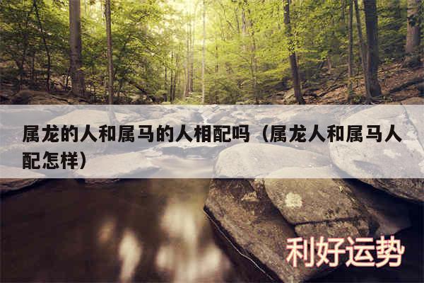 属龙的人和属马的人相配吗以及属龙人和属马人配怎样