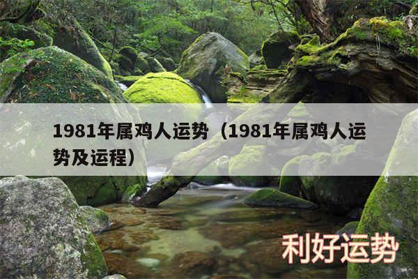 1981年属鸡人运势以及1981年属鸡人运势及运程