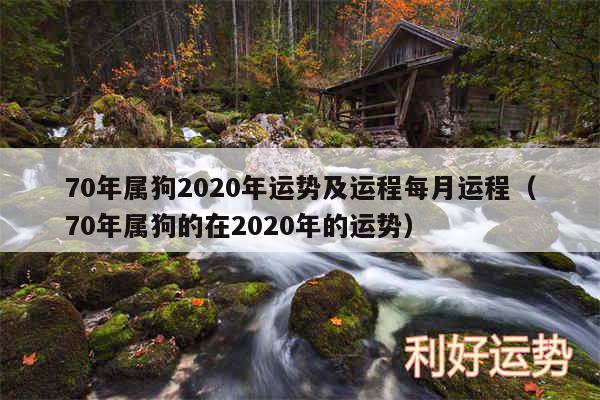 70年属狗2020年运势及运程每月运程以及70年属狗的在2020年的运势