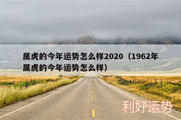 属虎的今年运势怎么样2020以及1962年属虎的今年运势怎么样