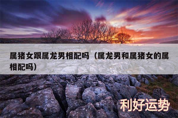 属猪女跟属龙男相配吗以及属龙男和属猪女的属相配吗