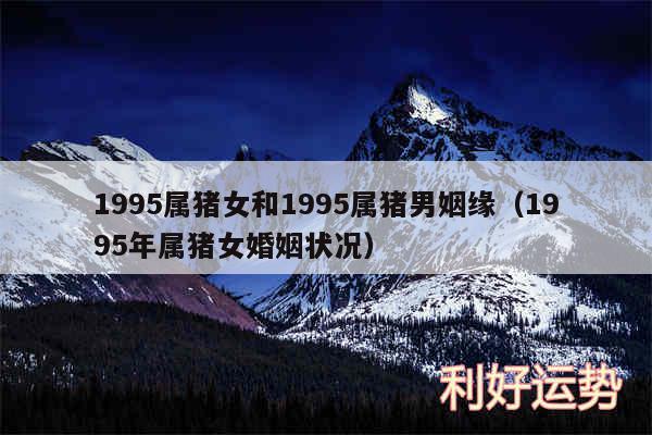 1995属猪女和1995属猪男姻缘以及1995年属猪女婚姻状况