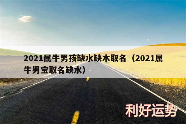 2024属牛男孩缺水缺木取名以及2024属牛男宝取名缺水