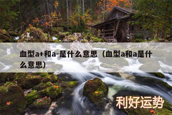 血型a+和a-是什么意思以及血型a和a是什么意思