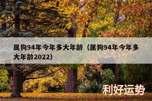 属狗94年今年多大年龄以及属狗94年今年多大年龄2024